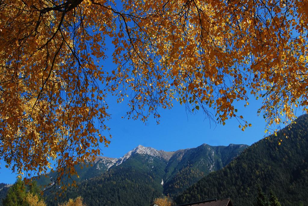 Landhaus Elke Reith bei Seefeld Eksteriør billede